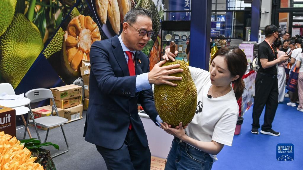免费送金币的斗牛